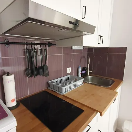 Artist דוברובניק