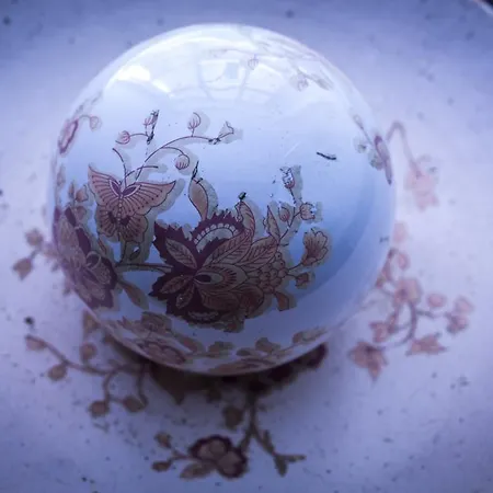 Artist דוברובניק