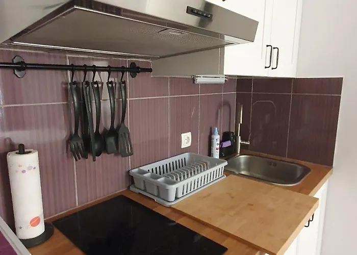 Artist 杜布罗夫尼克